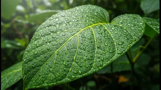 Simple Tricks To Stay Consistent This Monsoon