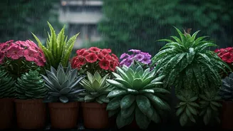 Keep Your Balcony Blooming Throughout The Rainy Season
