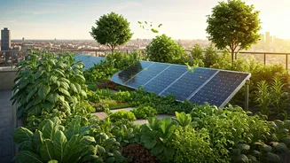 India Embraces Green Living