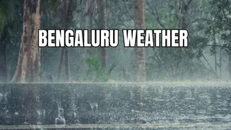 Bengaluru To Have Heavy Rain Soon: IMD Alert