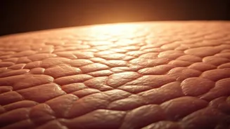 Ceramides Are Quietly Transforming Skincare Routines