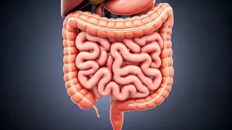 10 Gut-Healing Habits for Better Health