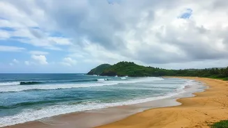 Goa's Monsoon Search Growth Highlights a Shift in Trip Length