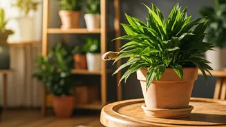 Toxic Plants Can Ruin A Pretty Home