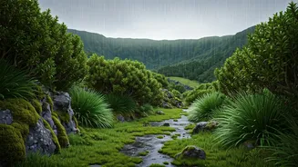 These Lesser-Known Places Bloom In The Rain