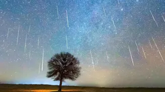 The Meteor Shower's Best Indian Views Depend on Weather, Not Telescopes