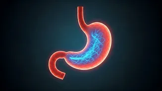 Slept Starving, Woke Up Not Hungry? The Science Behind Your Disappearing Appetite