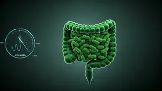 Walk Your Way to a Healthier Future: Better Blood Sugar, Gut, and Stamina by 40