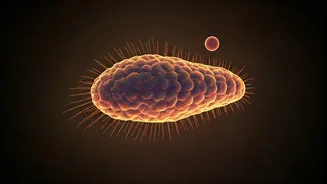 Unmasking Toxoplasma Gondii: Protecting Your Cat and Yourself from a Hidden Threat