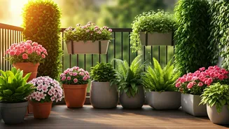 Transform Your Balcony: Six Stunning Plants for Every Sunny or Shady Nook
