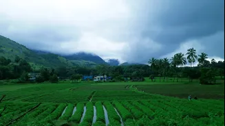 Heavy Rain Forecast in Kerala Due to Low-Pressure Area Over Bay of Bengal
