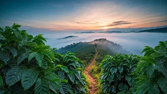 Make Romantic Memories Walking Chikmagalur Mist Shrouded Peaks Weekend