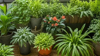 Transform Your Balcony: 6 Stunning Decorative Plants for a Lush Oasis