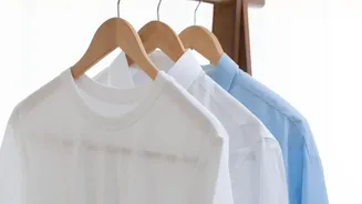 Humid Homes Need a Better Plan for Drying Clothes Indoors