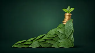 Earn Top Corporate Salaries Through Quick Climate Sustainability Certifications