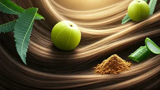 Related Stories banner