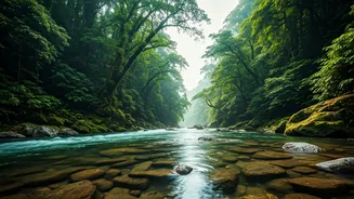 Arunachal Rivers Explored Via Smart Solo Female Digital Maps