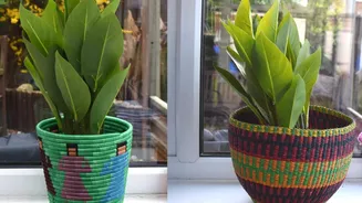 Elevate your space with African baskets