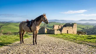 The Appeal Of Seeing Portugal's Old Ruins On Horseback