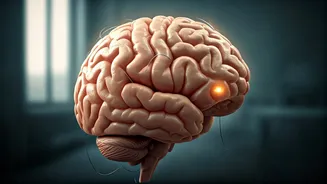 Midlife Brain Fog: Is It Stress or Early Alzheimer's? A Woman's Increased Risk