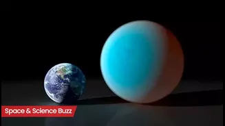 Science & Space Roundup: Top News of the Day (Nov 18)