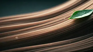 Unlock Your Best Hair: The Ultimate Guide to Washing Frequency for Healthy Growth