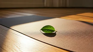 Unwind and Recharge: Essential Stretches for Stress Relief and Flexibility