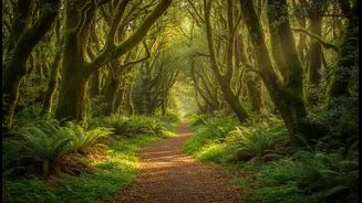 The Same Walk May Feel More Restorative in a Green Space