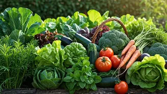 Home Gardens Are Turning Into Tiny Farms