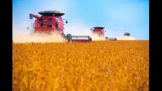 Inadimplência no agronegócio sobe e fecha 2025 em 8,2%, diz Serasa