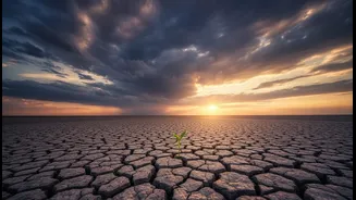 El Niño Basics: Understanding The Global Weather Pattern That Affects India