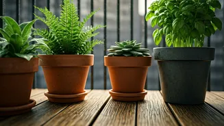 Your Balcony Needs A Pre-Monsoon Plant Check