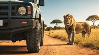 Unleash Your Inner Explorer: The World's Most Thrilling Self-Drive Safaris