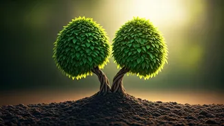 Sudha Murty's Wisdom: Marriage as Growth, Not Just Coexistence