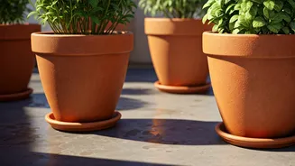 Terrace Plants Need Better Drainage Routes Now