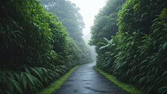 Monsoon Holidays Feel Calmer Than Crowded Peak Trips