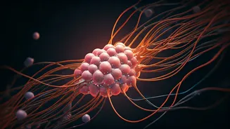 PCOS to PMOS: Why This New Name Matters for Women's Health