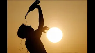 What To Eat During a Heatwave: Foods To Keep You Feeling Cool This Summer