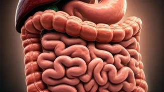 Summer Gut Guide: Expert Strategies for a Happy and Healthy Digestive System