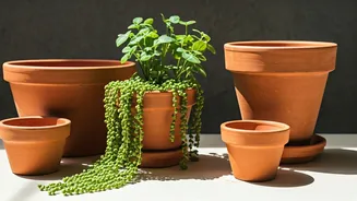 Why Natural Terracotta Pottery Is Dominating Rental Space Trends