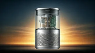 Delhi's Smog: A Guide to Breathing Easy