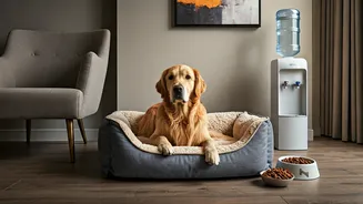 Hotels Know Pets Are Family Now