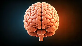 Harvard Expert's 6 Habits for a Younger You