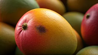 Mango Season Smarts: How to Instantly Spot Artificially Ripened Fruit