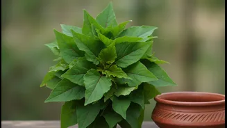 Why This Tangy Andhra Favourite Never Gets Old