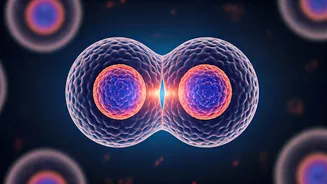 Related Stories banner