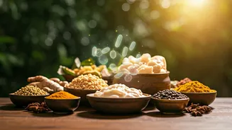 Varied Indian Meals Are Secretly Gut-Friendly Goals