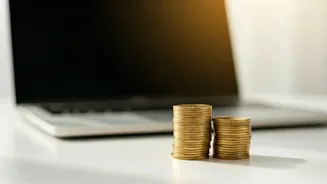 Indian Influencer's Brand Collaboration Earnings: A Look Inside