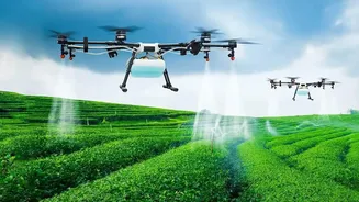 Smart Farming Breakthrough: AI Smartphone Sensors Protect Crops In Punjab And Maharashtra