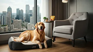 City Travel Is Learning To Include Furry Companions